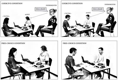 The Influence of (Dis)belief in Free Will on Immoral Behavior